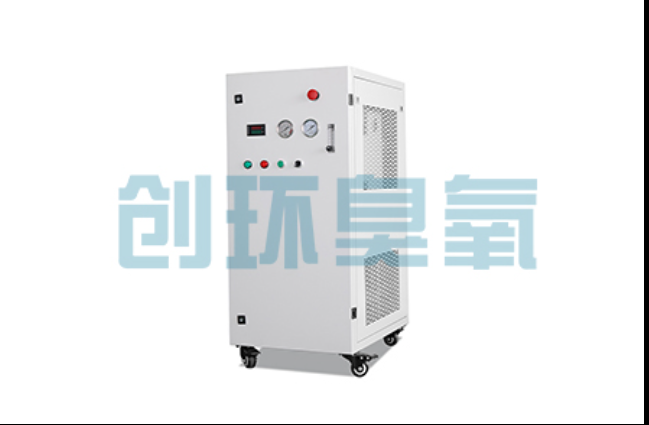 铜梁工厂化养鲈必看:2026年臭氧发生器替代传统消毒的最新方案