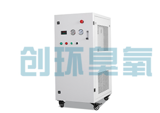 铜梁石斑鱼养殖水质调控完整指南:臭氧发生器配置与操作步骤