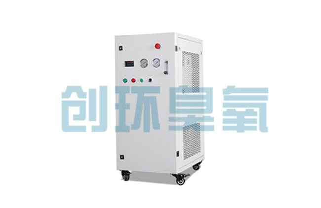 铜梁比传统换水更高效?臭氧发生器在石斑鱼养殖中的水质净化原理解析